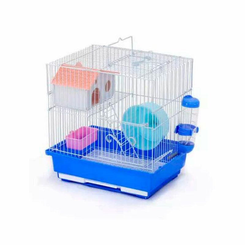 hamstera