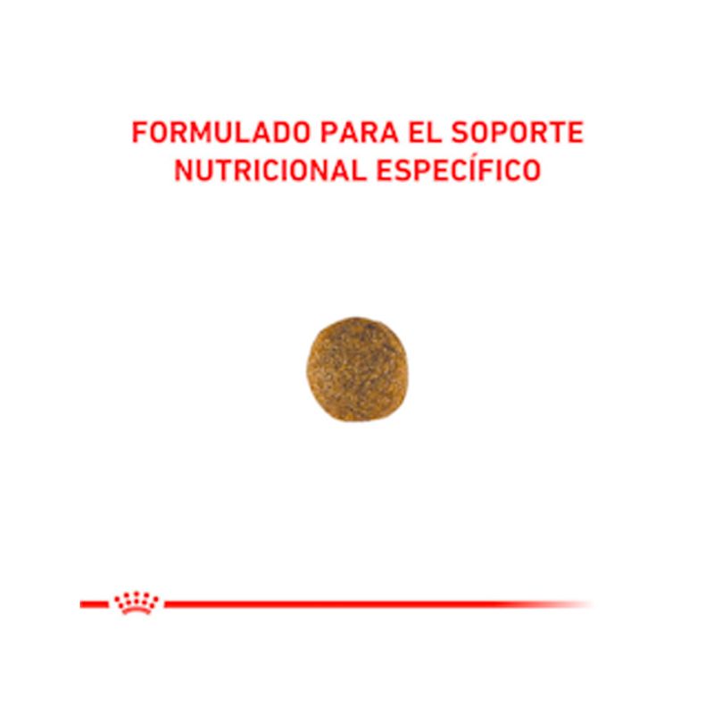 croqueta-cardiac