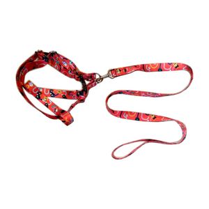 Conjunto Correa y Pretal Estampado Regulable