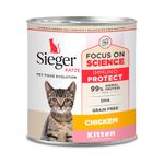 lata-sieger-kitten