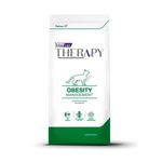 therapy-gato-obeso-suelto