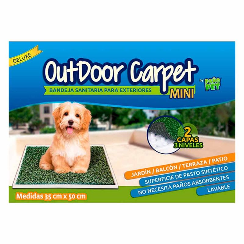 outdoor-carpet