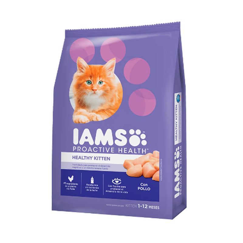 iams-gato-kitten