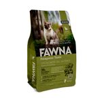 fawna-gato-kitten