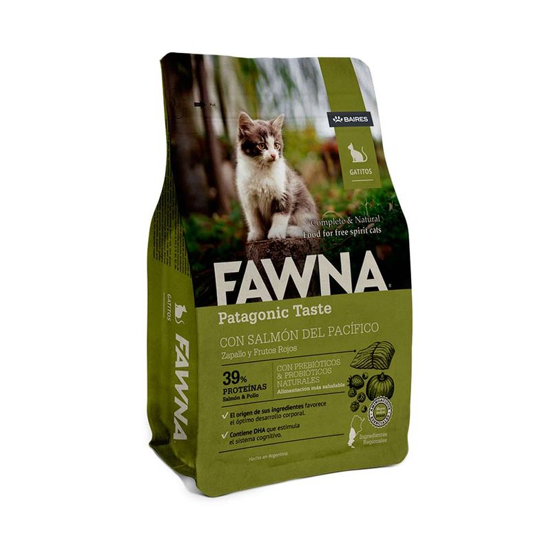 fawna-gato-kitten