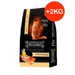 maintenance-criadores-gato-15-2