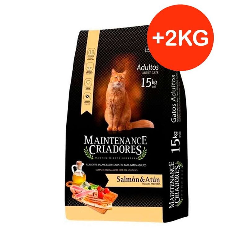 maintenance-criadores-gato-15-2