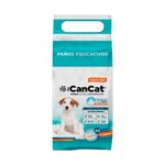 paño-can-cat-20