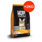hop-gato-adulto---2