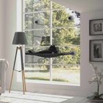 window-cat