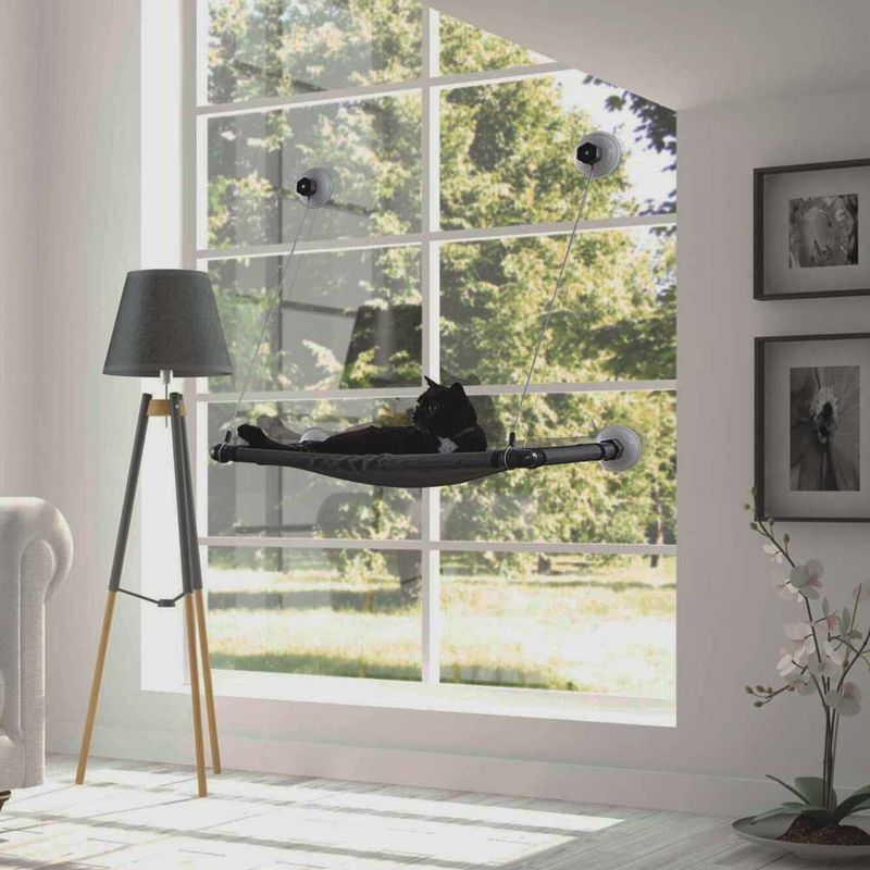 window-cat