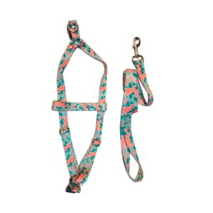 Conjunto Pretal y Correa Regulable N°4