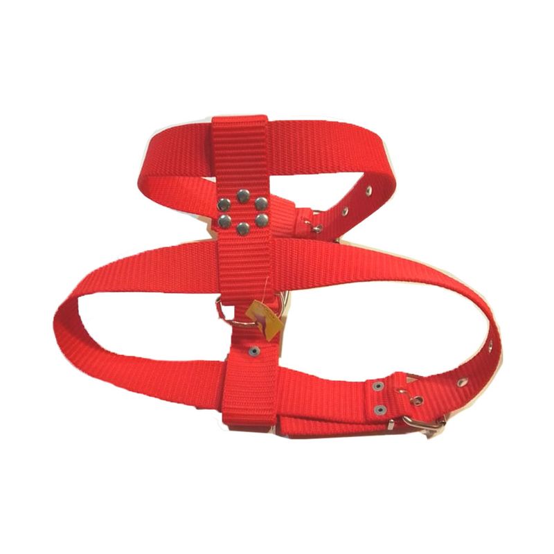 arnes-cinta-nato-rojo