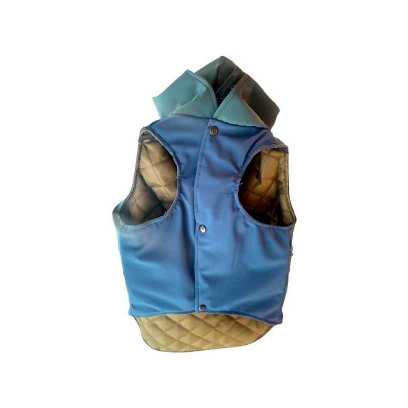 shell-5