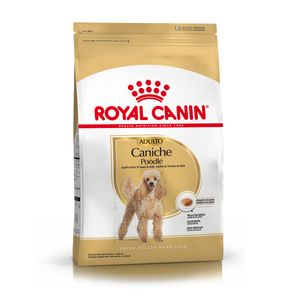 Royal Canin Mini Poodle Adulto 1kg