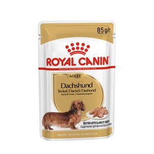 Sobre Royal Canin Dachshund Adulto 85gr