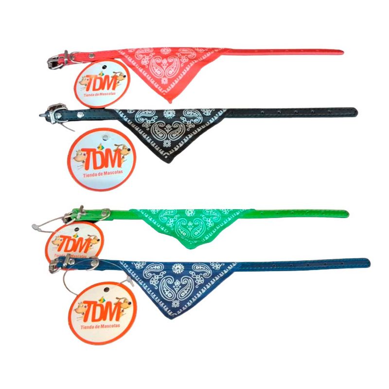collar-gato-ocn-paño