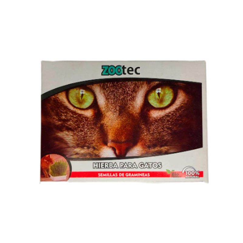 zootec-hierba-gato