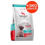 sieger-cachorro-pequeno---3