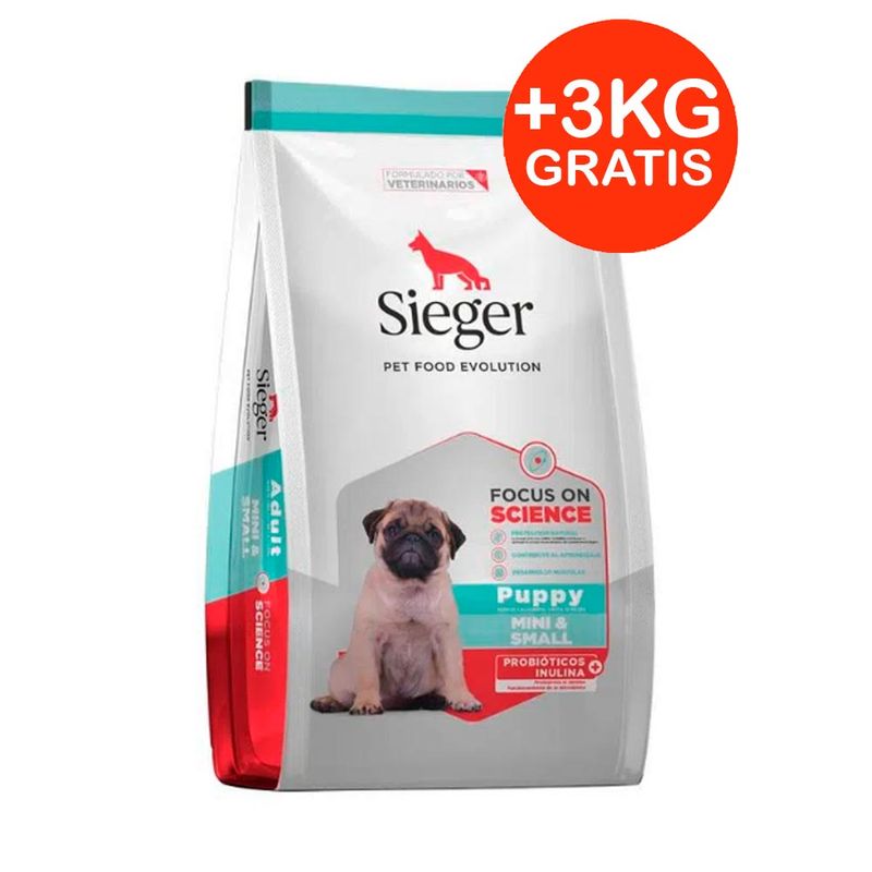 sieger-cachorro-pequeno---3