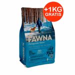 fawna-senior-15---1