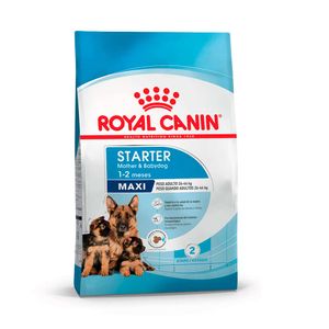 Royal Canin Starter Maxi Mother And Baby Dog 10kg