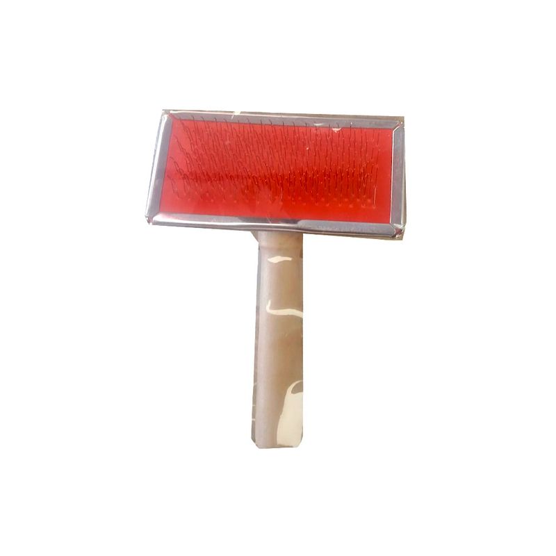 6029