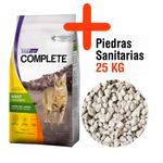 gato-adulto-castrado---piedra