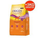 origen-20-3