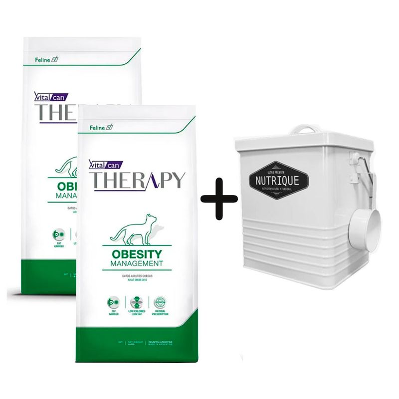 therapy-obeso-gato---tacho-chico