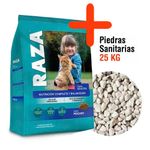 raza-gato-pescado---piedras