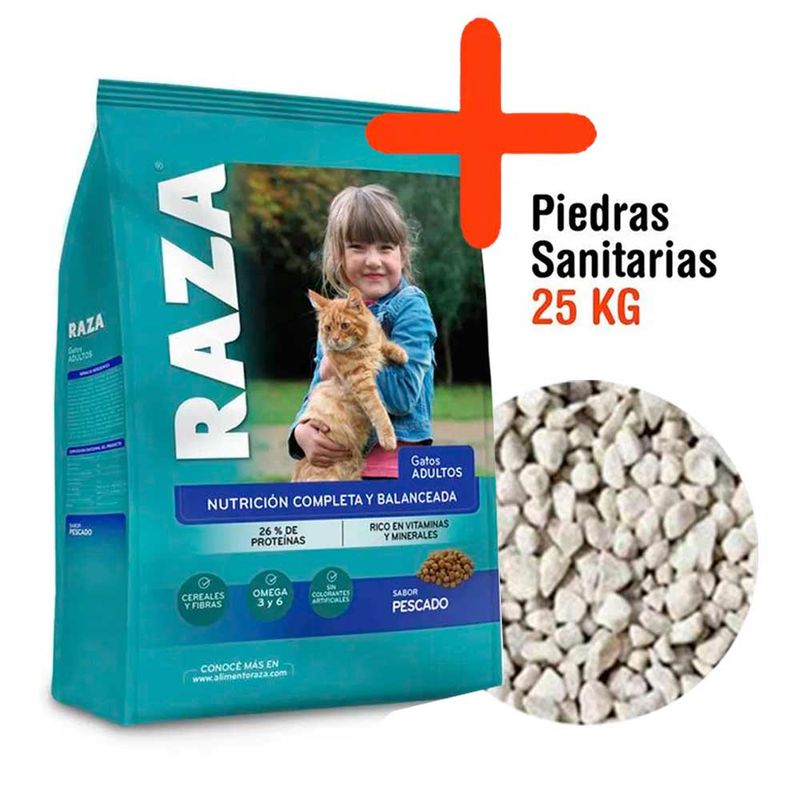raza-gato-pescado---piedras
