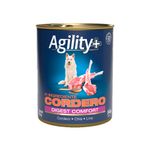 agility--perro