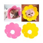 collar-gato-isabel