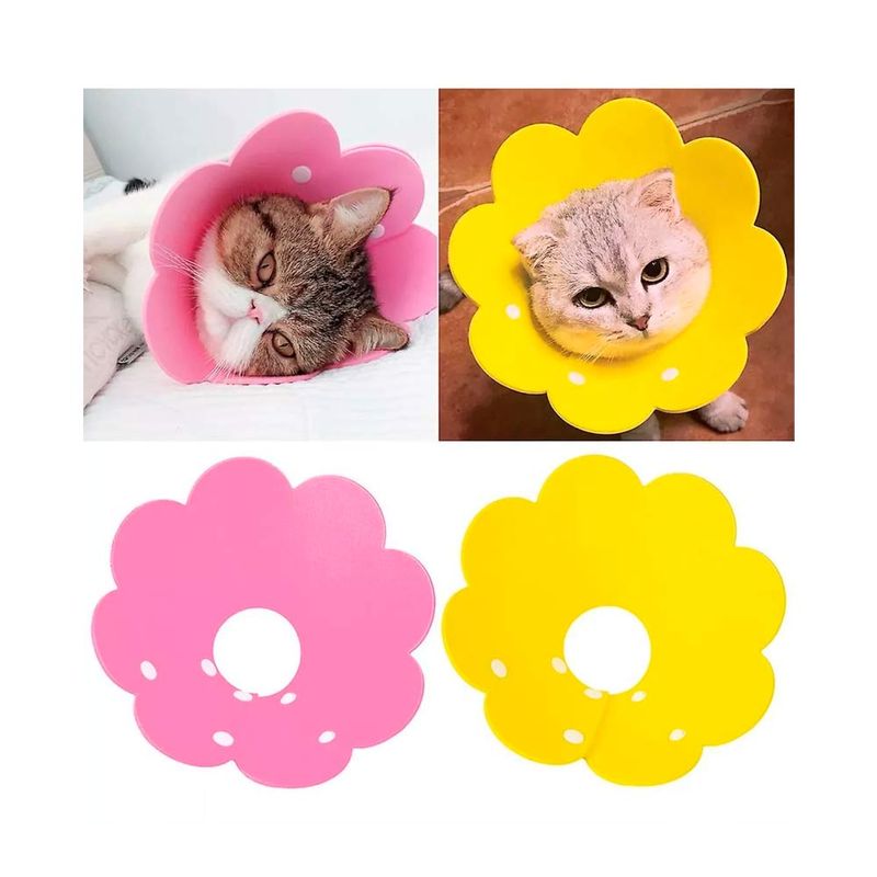 collar-gato-isabel