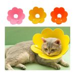 collar-isabellino-gato