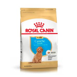 Royal Canin Mini Poodle Junior 3kg