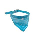 collar-gato-con-pañuelo
