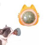 bola-cat-nip