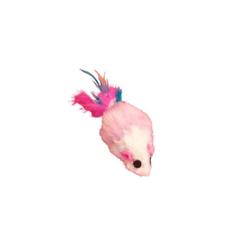 ratita-piel