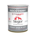 sieger-lata-recovery