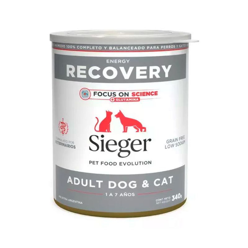 sieger-lata-recovery