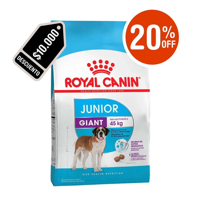 gian-junior-royal