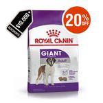 gian-adulto-promo-royal