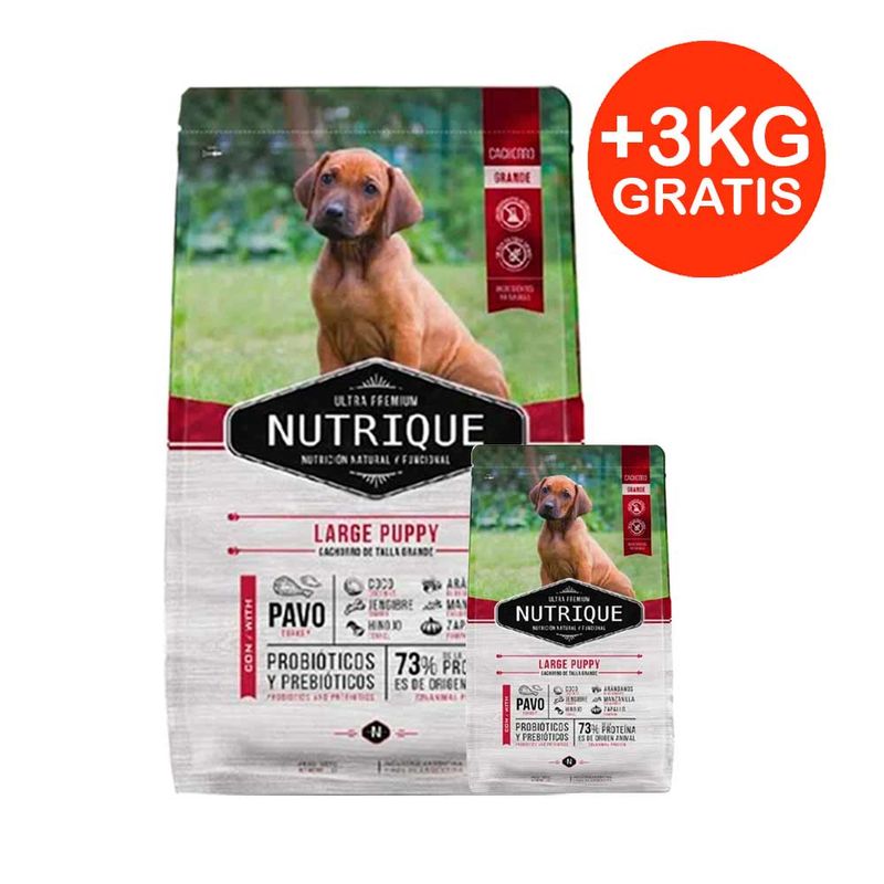 nutrique-cachorro-grande-15---3