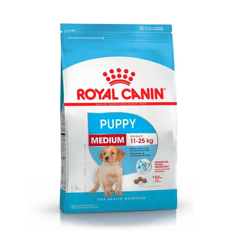 medium-puppy