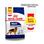solo-por-hoy-royla-maxi