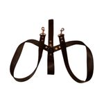 CORREA-DE-PASEO-NYLON-DOBLE