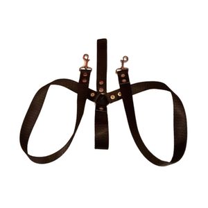 Correa De Paseo Nylon Doble