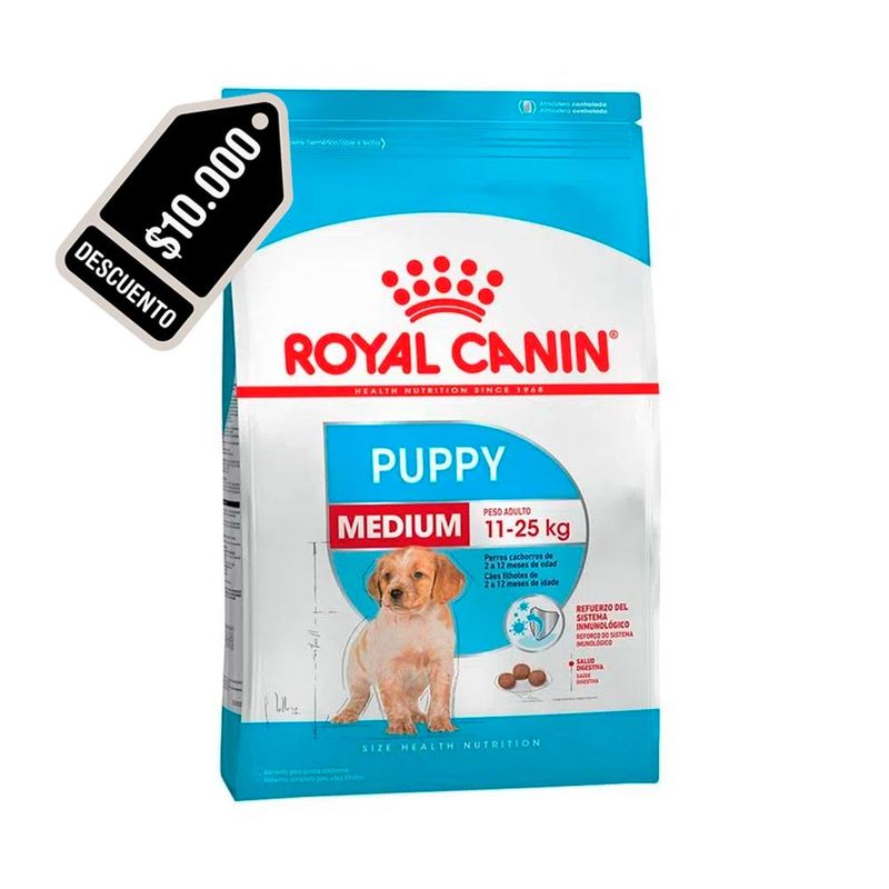 medium-puppy-de15-con-descuento-de-10000-